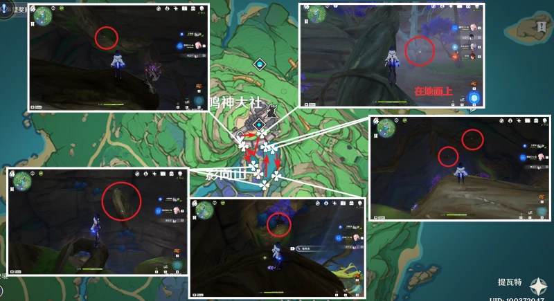 原神鬼兜蟲收集路線