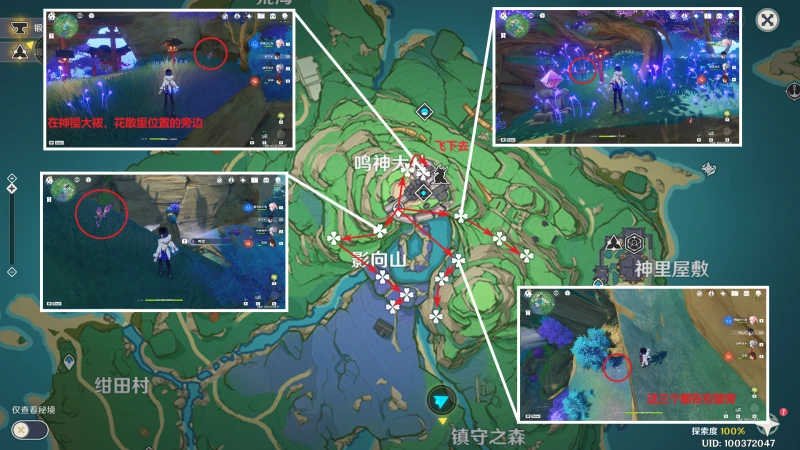 原神鳴草收集路線