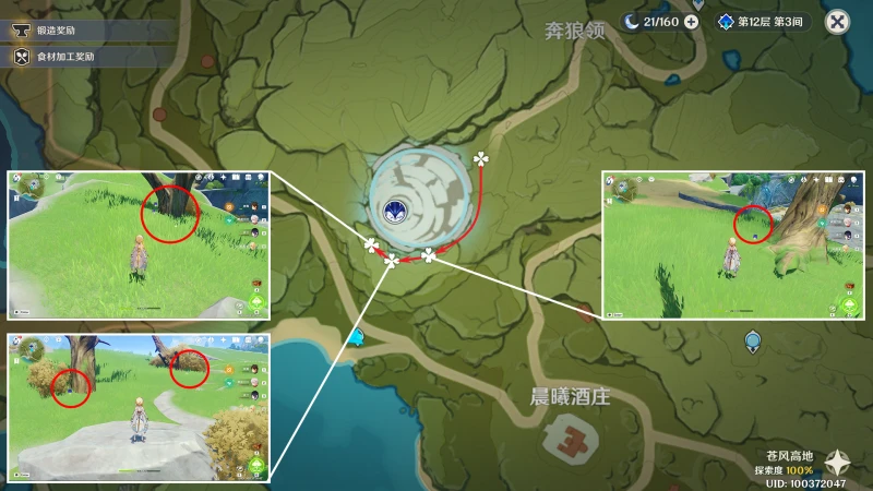 原神鉤鉤果收集路線