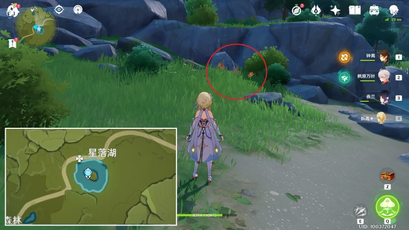 原神風車菊收集路線