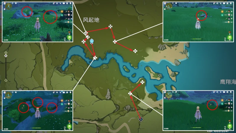 原神風車菊收集路線