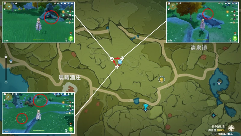 原神風車菊收集路線