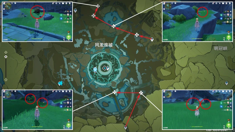 原神風車菊收集路線