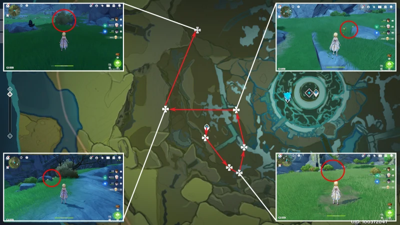 原神風車菊收集路線