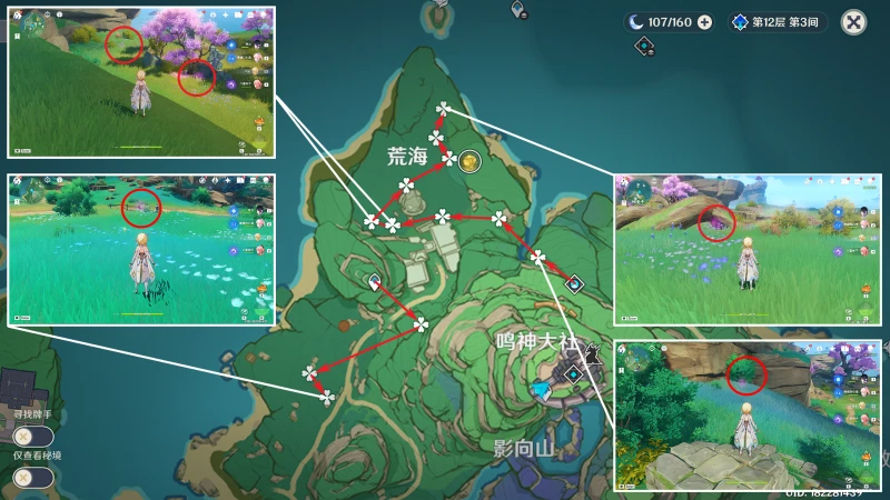 原神緋櫻繡球收集路線