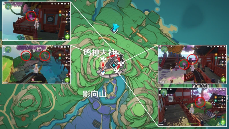 原神緋櫻繡球收集路線