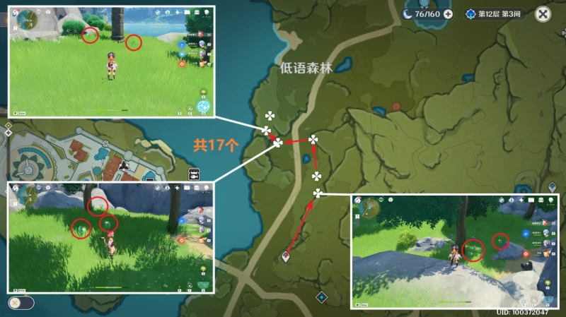 原神小燈草收集路線