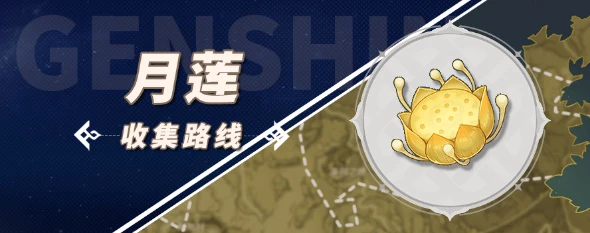 《原神》月蓮採集攻略2023