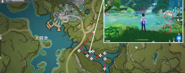 《原神》月蓮採集攻略2023