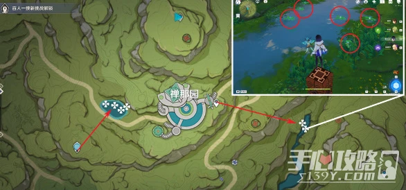 《原神》月蓮採集攻略2023