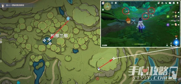 《原神》月蓮採集攻略2023