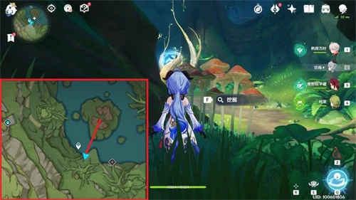 原神水天叢林挖掘寶箱位置介紹