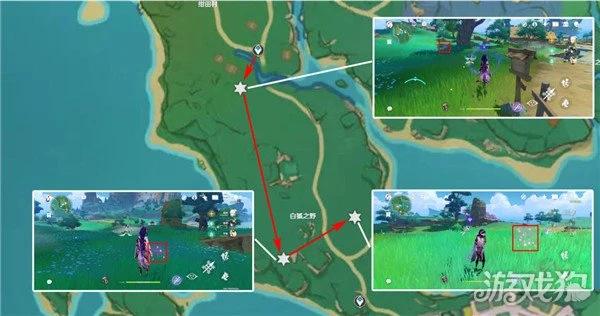 原神緋櫻繡球採集路線一覽 68個詳細點位分享