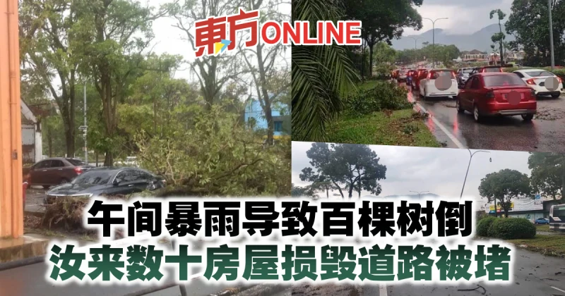 午間暴雨導致百棵樹倒　汝來數十房屋損毀道路被堵