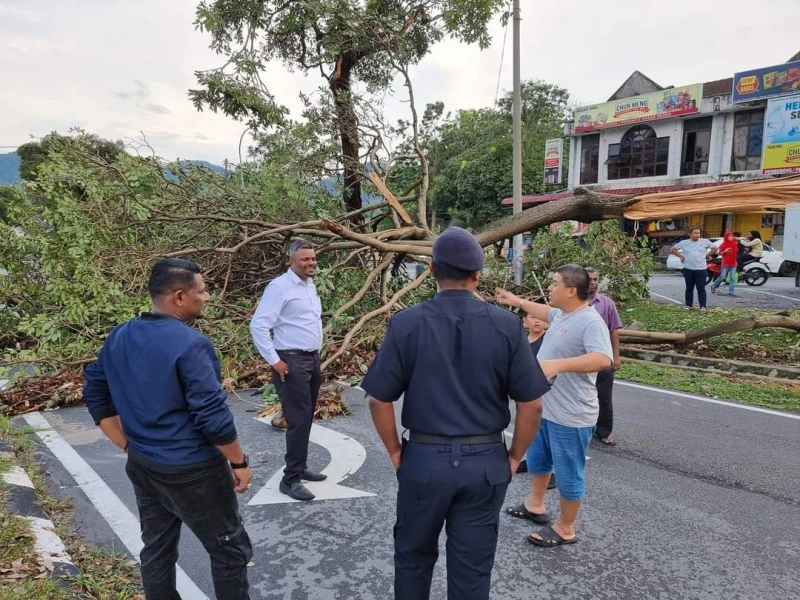 午間暴雨導致百棵樹倒　汝來數十房屋損毀道路被堵