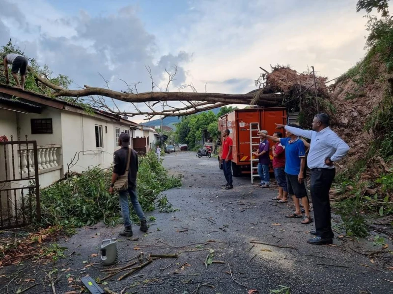 午間暴雨導致百棵樹倒　汝來數十房屋損毀道路被堵