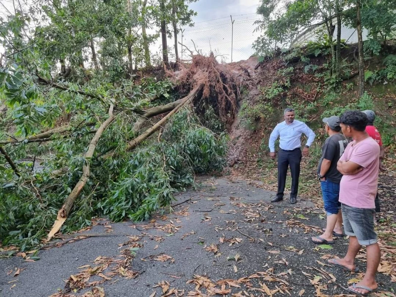 午間暴雨導致百棵樹倒　汝來數十房屋損毀道路被堵