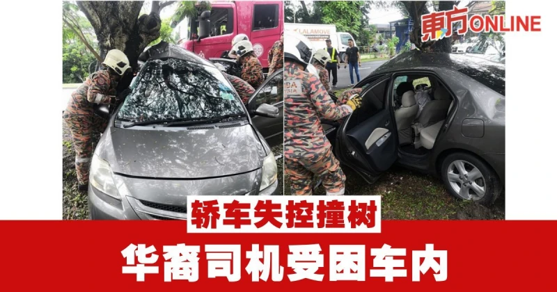 轎車失控撞樹　華裔司機受困車內