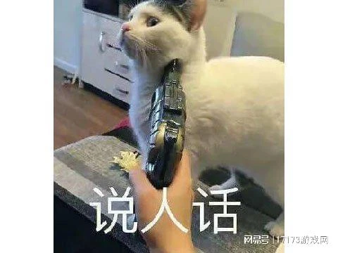 韓國10年人氣遊戲停運，當年國服首日下載破百萬，卻被騰訊截胡？