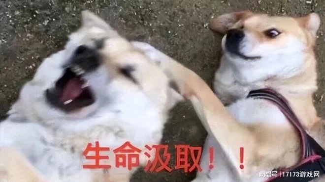 14年死對頭,把懷舊當新生,兩次把魔獸耗沒了?