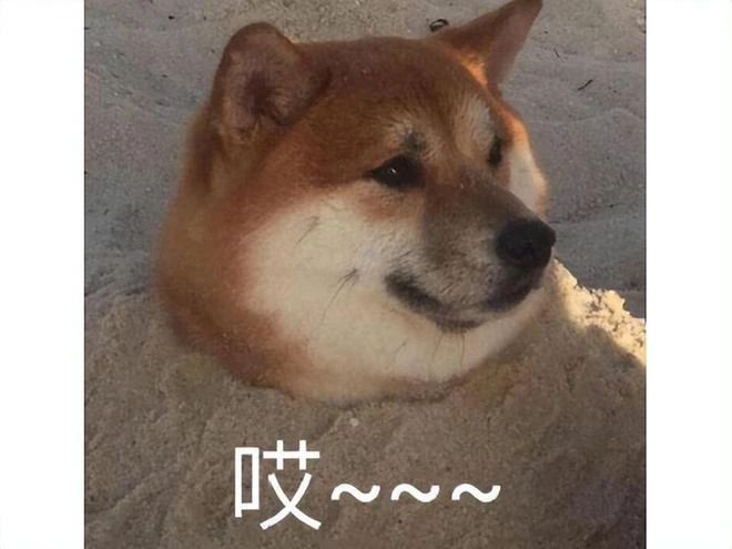 德拉諾之王另有他人？魔獸里的搞笑擔當，竟然才是昔日弒神的王者