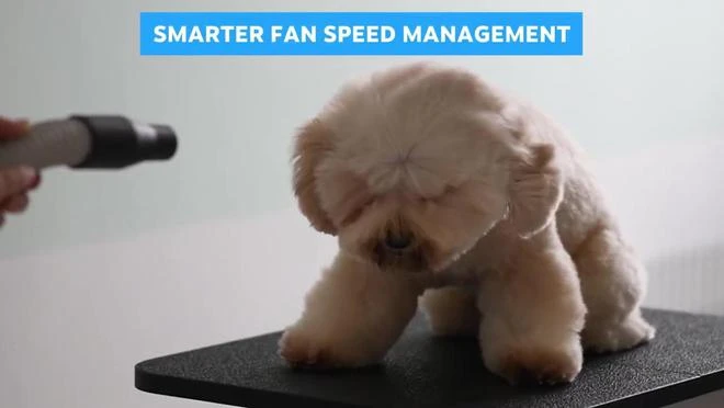 V社慶祝SteamDeck發售一周年