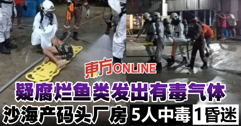 疑腐爛魚類發出有毒氣體　沙海產碼頭廠房5人中毒1昏迷