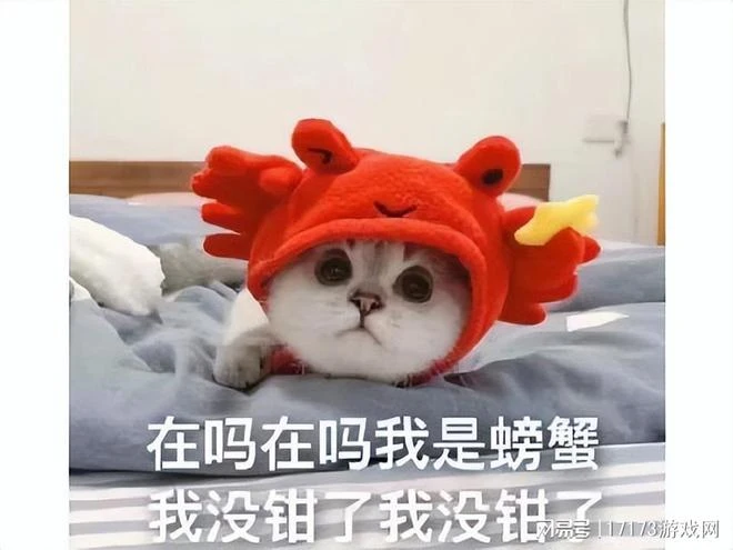 女大佬氪金41萬，被專屬客服敷衍一年後被拉黑，引來百萬網友圍觀