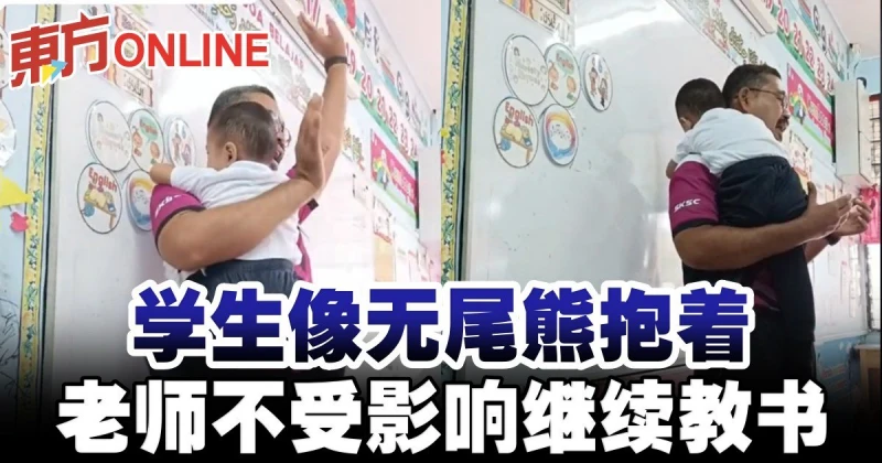 學生像無尾熊抱著　老師不受影響繼續教書
