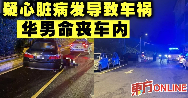 疑心臟病發導致車禍　華男命喪車內