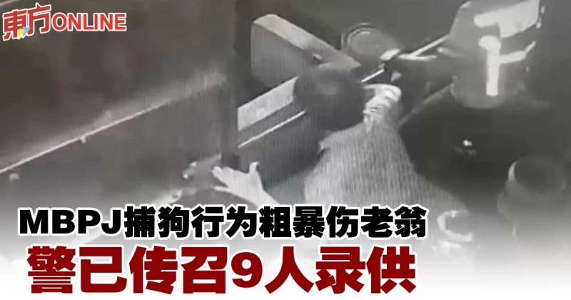 MBPJ捕狗行為粗暴傷老翁　警已傳召9人錄供
