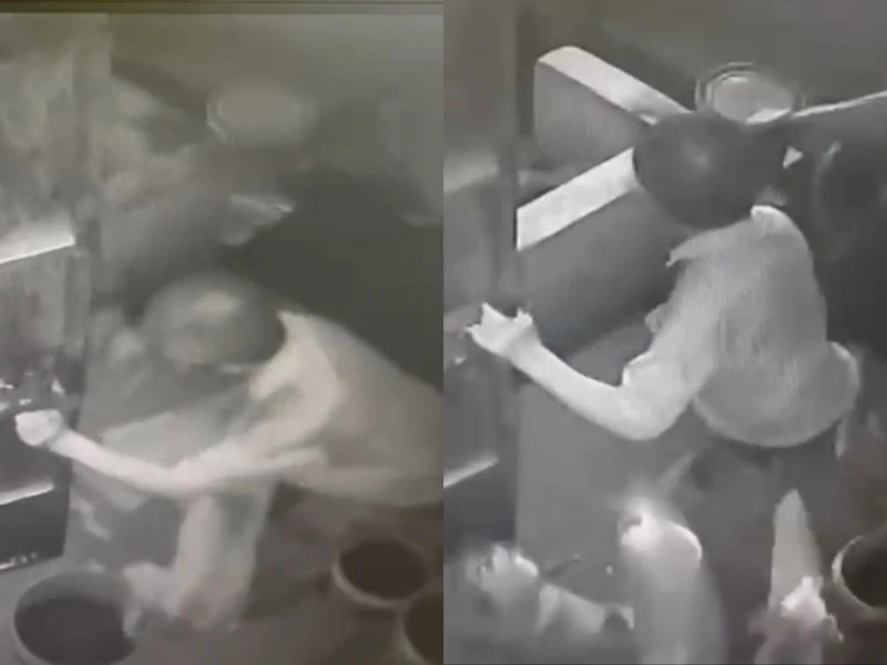 MBPJ捕狗行為粗暴傷老翁　警已傳召9人錄供