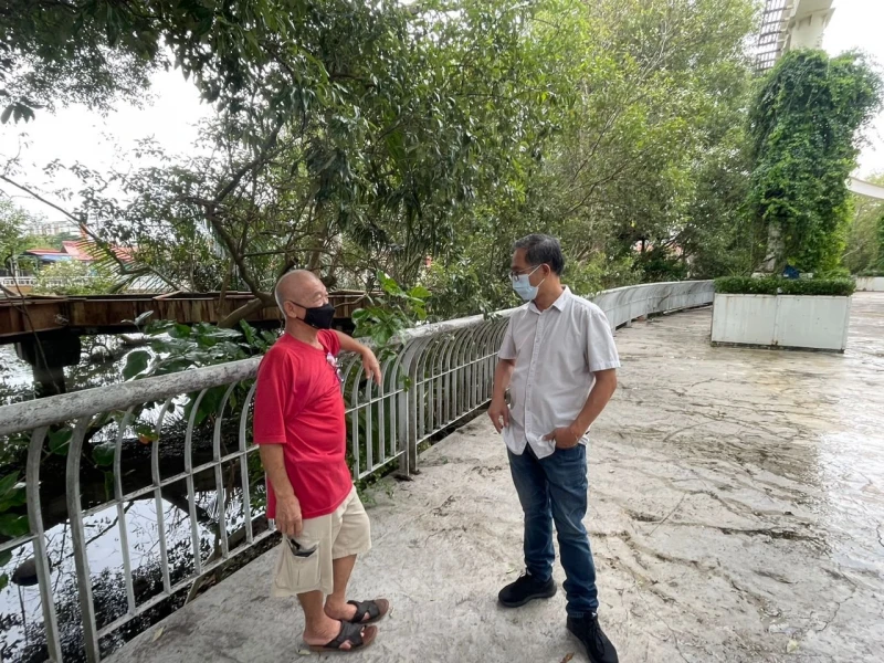 紅樹林區驚現「稀客」蹤影　長嘴鱷魚在甲河悠閒曬太陽