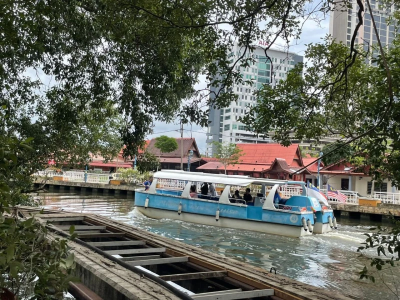 紅樹林區驚現「稀客」蹤影　長嘴鱷魚在甲河悠閒曬太陽