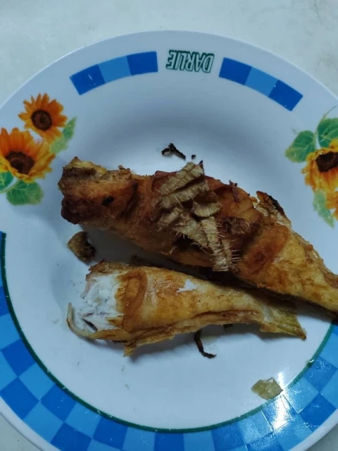 疑食用雞腿魚致食物中毒！　八旬夫婦緊急送院一死一搶救中