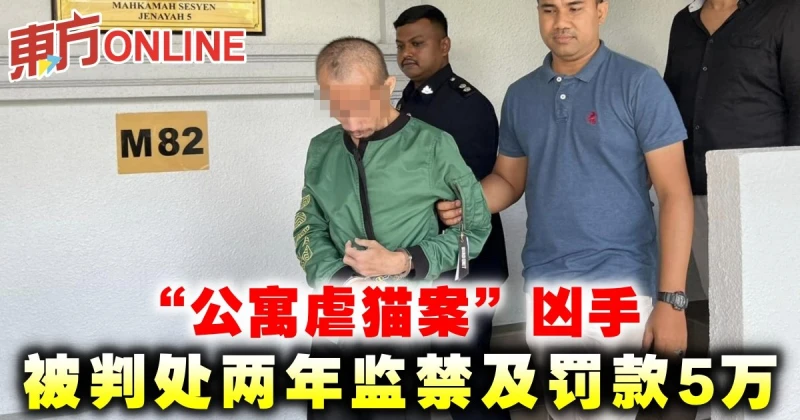 「公寓虐貓案」兇手被判處兩年監禁及罰款5萬