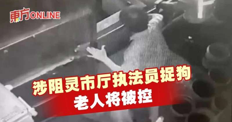 涉阻靈市廳執法員捉狗　老人將被控