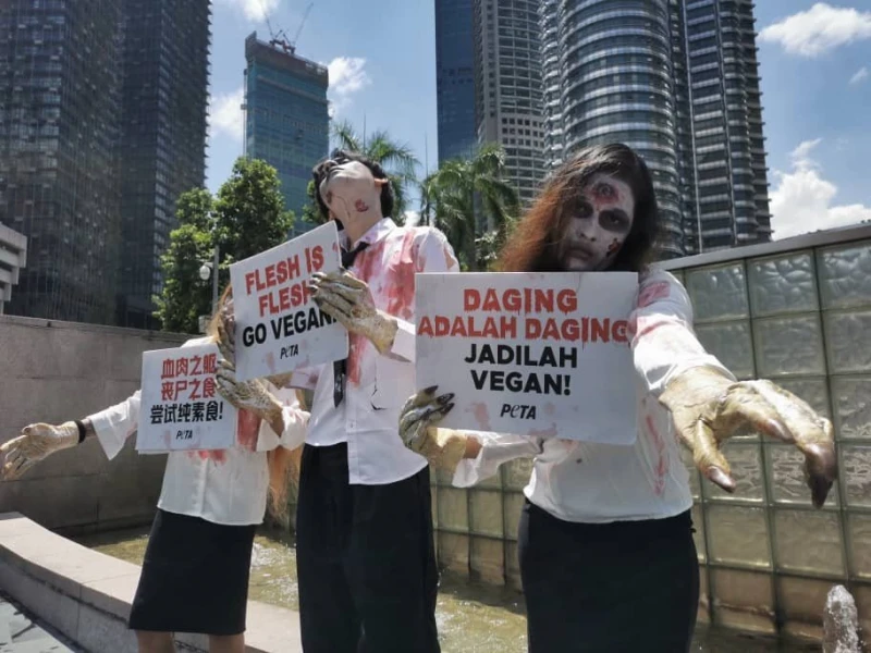 PETA扮喪屍街頭舉牌反肉食　「吃肉猶如喪屍吃人肉般血淋淋」