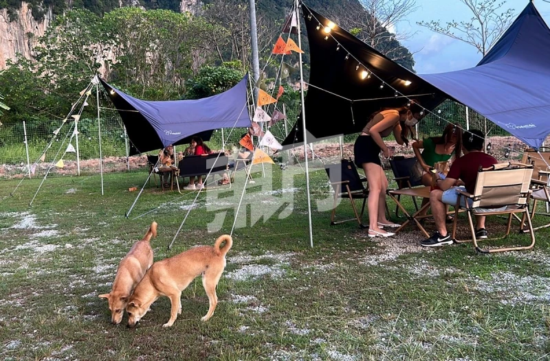 來「露營吧」！ 戶外營地吃燒烤火鍋涼爽又愜意