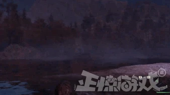 剛上線沒幾天，《生化危機4》女主就光屁股了？網友擔心上法庭！