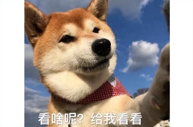 盤點即將在第二季度上線的韓國遊戲：《王權與自由》《夜鴉》領銜