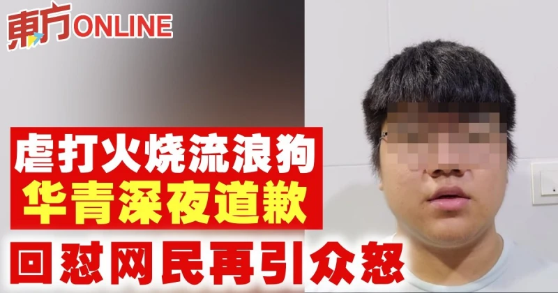 虐打火燒流浪狗華青深夜道歉　回懟網民再引眾怒