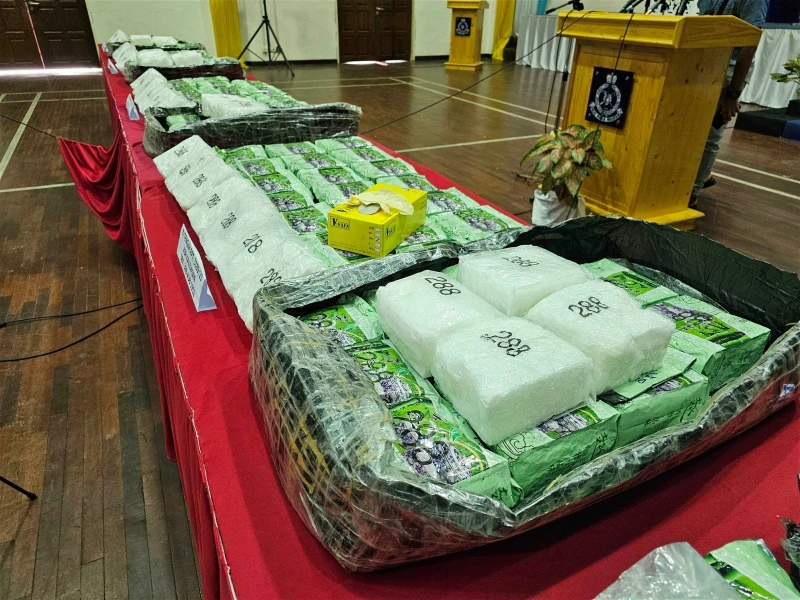 檳警搗破國際販毒集團　起獲超過600萬冰毒