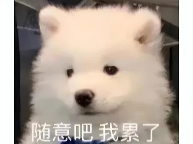 守護巨龍靠邊站？魔獸新劇情彩蛋曝光，奧丁重登艾澤拉斯王座！