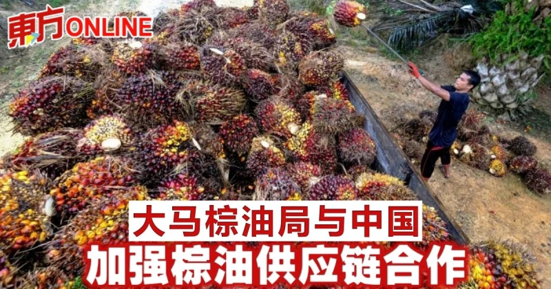 大馬棕油局與中國　加強棕油供應鏈合作