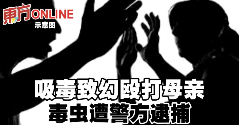 吸毒致幻毆打母親　毒蟲遭警方逮捕