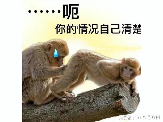 國服首月5億流水的大作，國際服2年就涼？不少玩家以為這是玩笑