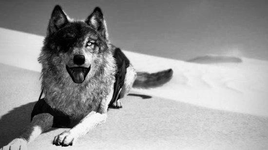 小島秀夫談遊戲設計:無線電系統是我最偉大發明之一