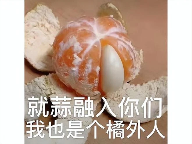 全球銷量超200萬！法國人做了一款功夫遊戲，無情吊打了中國廠商