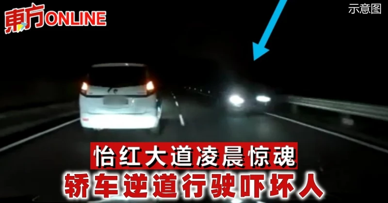 怡紅大道凌晨驚魂　轎車逆道行駛嚇壞人